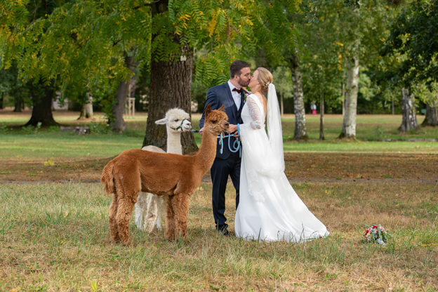 Hochzeitsfotograf Schoßpark Werneck, Alpakas